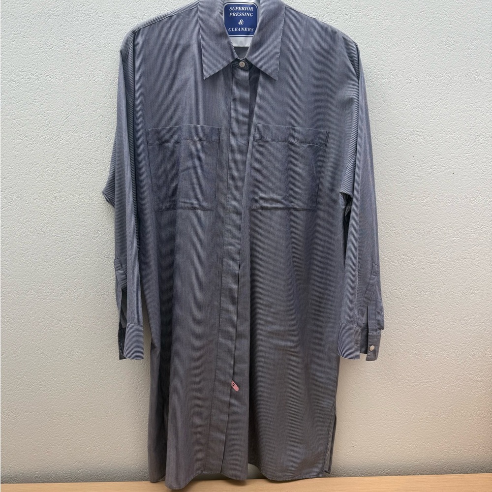 Acne Studios Blue Striped Shirt Dress